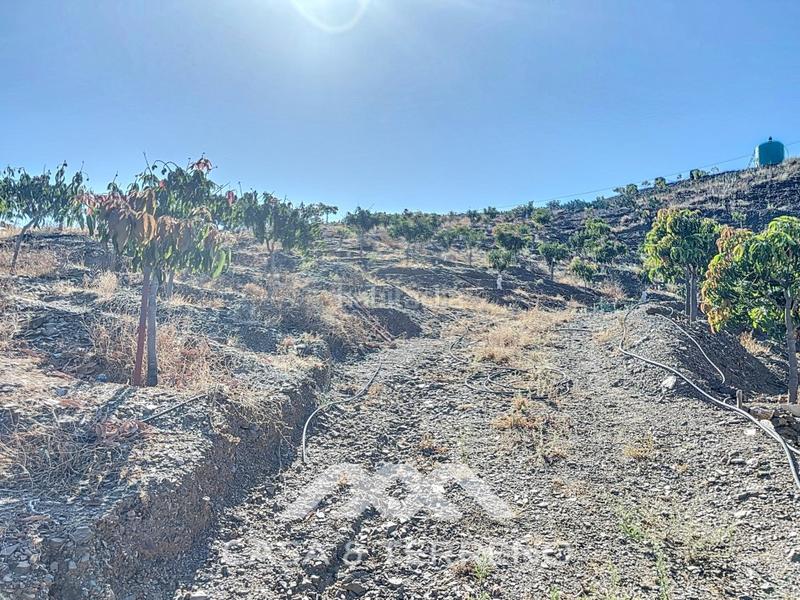 Foto f907df69-388b-444e-b294-d2cfa87fad61. Casa se vende finca, , málaga, andalucía en Benamargosa