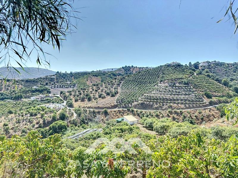 Foto 80e2f610-b7f7-4537-a92f-b818de7db4bf. Casa amb calefacció aparcament piscina a Frigiliana