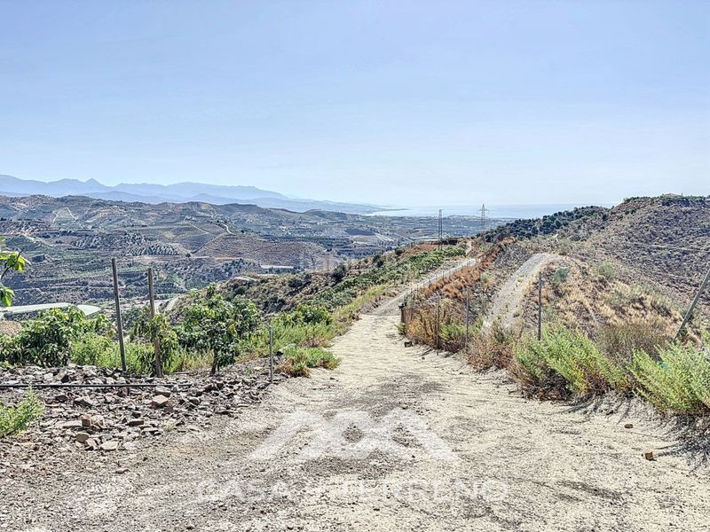 Foto 2302a5c5-e343-439f-b4c3-0f0f67f0b7ee. Casa a Camino Viejo de Málaga Vélez - Málaga