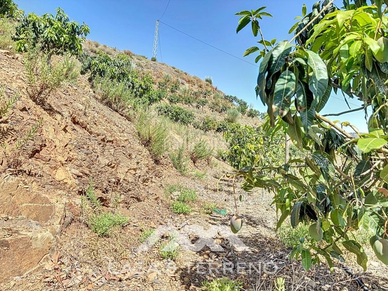 Foto 301455eb-6a57-4b3d-a65f-03f6f1a5e3d5. Casa a Camino Viejo de Málaga Vélez - Málaga