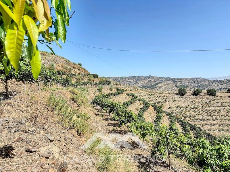 Foto 5da14525-42e2-4ea8-b14f-e74c78a63e6b. Casa a Camino Viejo de Málaga Vélez - Málaga