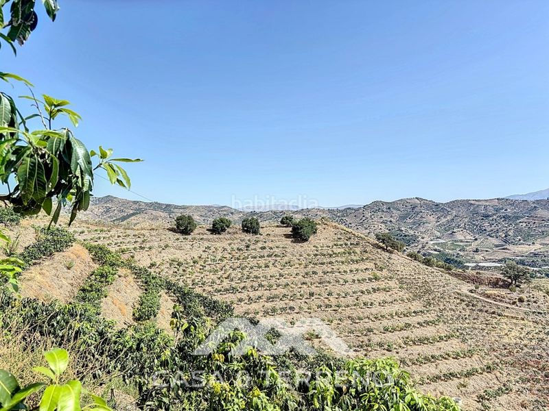 Foto d1758f4c-a3b4-445f-a992-a0b1a44f5759. Casa a Camino Viejo de Málaga Vélez - Málaga