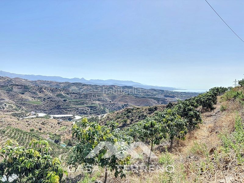 Foto e9fdc92a-b9b0-42ee-9d5f-9f63783f3ecd. Casa a Camino Viejo de Málaga Vélez - Málaga