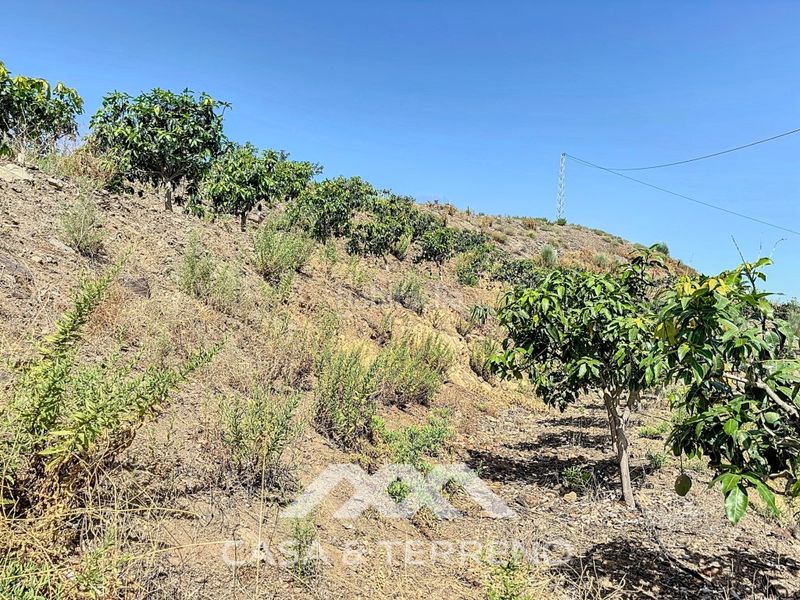 Foto f10b5fed-c348-498f-a1a6-868bab95fa8e. Casa a Camino Viejo de Málaga Vélez - Málaga