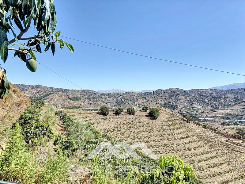 Foto f1be7498-37ee-405f-9eca-c9e33ccbed17. Casa a Camino Viejo de Málaga Vélez - Málaga