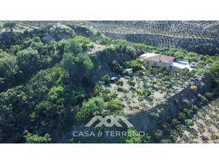 Xalet a Benamocarra. Se vende finca, vélezmálaga, andalucía