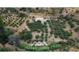 Masia  N/a. Venta, casa de campo, alcaucín, málaga, andalucía