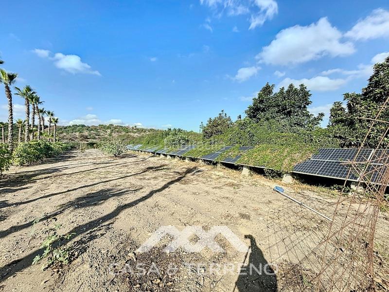 Foto 1fd96189-320d-44ad-aa69-50f2ed521f3c. Chalet mit parking pool in El Limonar Vélez - Málaga