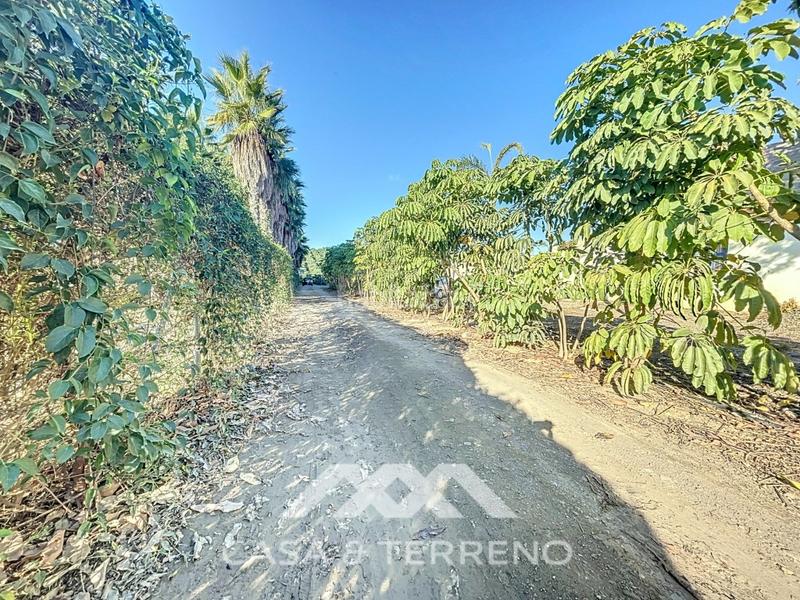 Foto 41fd8098-a4a8-4412-93df-a0862ed44fff. Chalet mit parking pool in El Limonar Vélez - Málaga