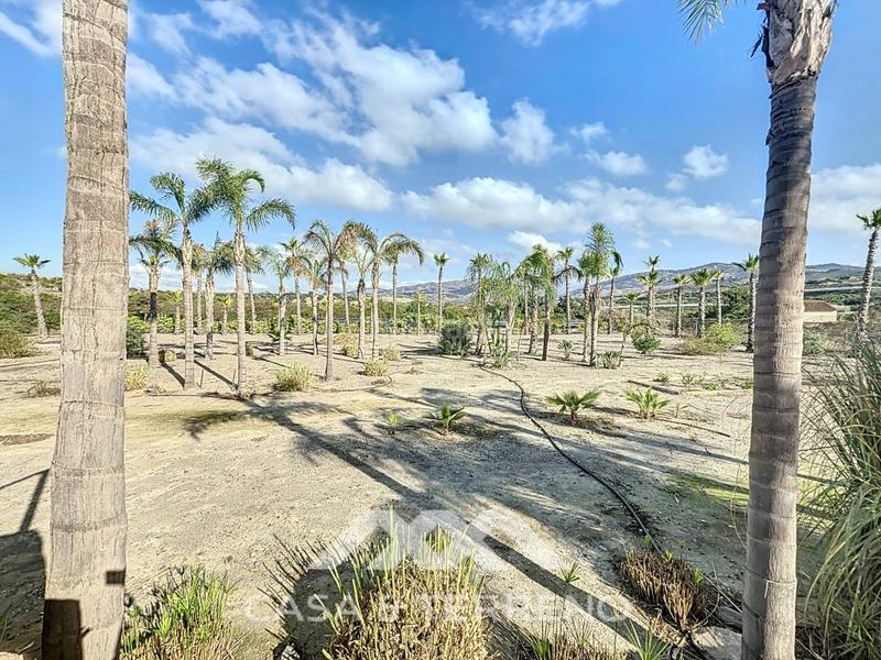 Foto 836900b9-3db8-4f3a-864a-427db1989eef. Chalet mit parking pool in El Limonar Vélez - Málaga