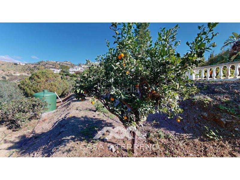 Foto bc3f112d-045e-42e2-bf73-69d5a55f9d4c. Casa se vende elegante villa con jardín y piscina , málaga en Algarrobo