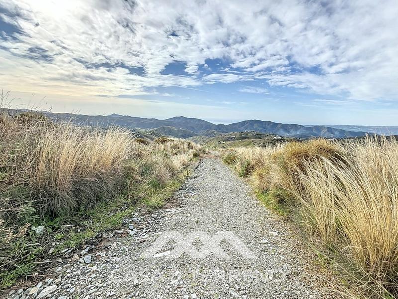 Foto 45876d8f-cb58-4c6b-b228-552ec2afaeb5. Propriété dans Sedella