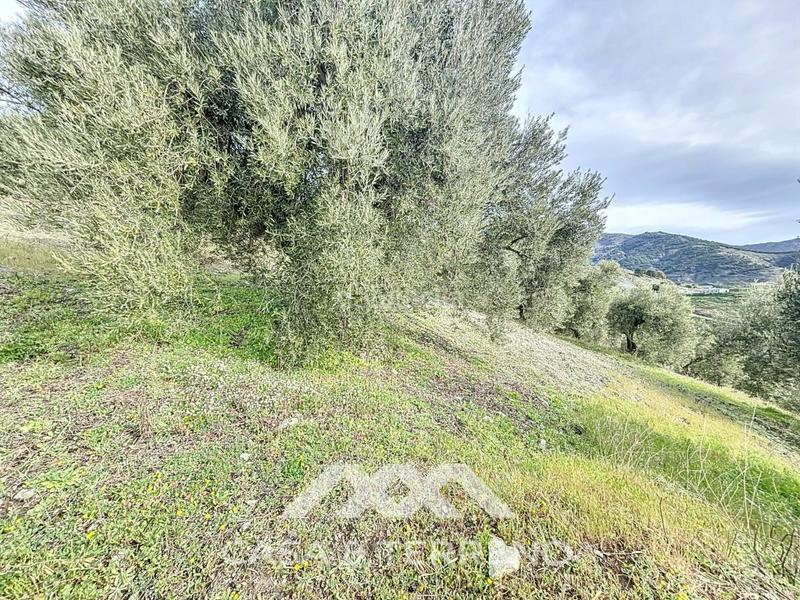 Foto b26bed5c-291d-4a12-8306-311c4bda2406. Propriété dans Sedella