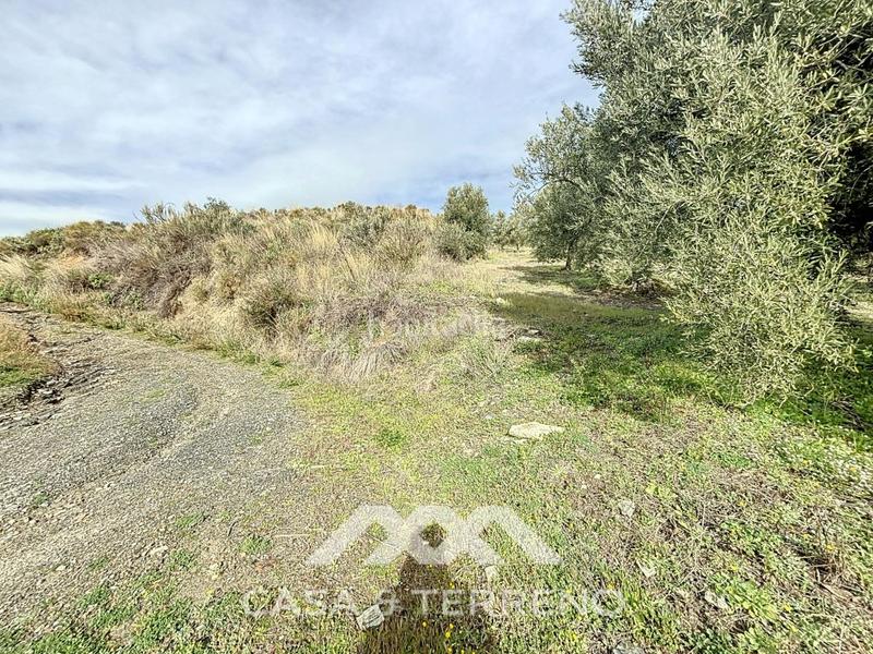 Foto f9e27a0d-b0f3-4322-8b55-76f1e450f600. Propriété dans Sedella