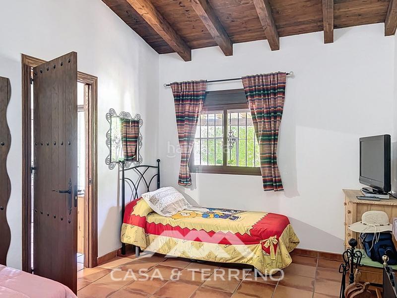 Foto 9ded8253-2a74-418f-ba13-e82281b86db6. Masía se vende casa de campo, el borge, málaga, andalucía en Borge (El)