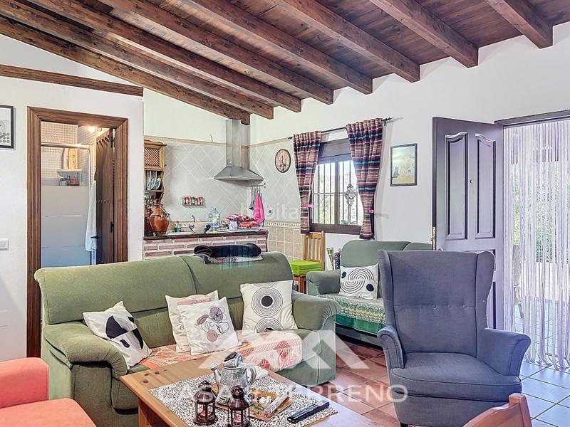 Foto b1df286c-0ed5-481f-9a02-c6f19ff47d19. Masía se vende casa de campo, el borge, málaga, andalucía en Borge (El)
