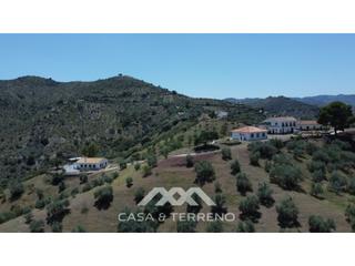 Business premise in Comares. Se vende fincas, comares, málaga
