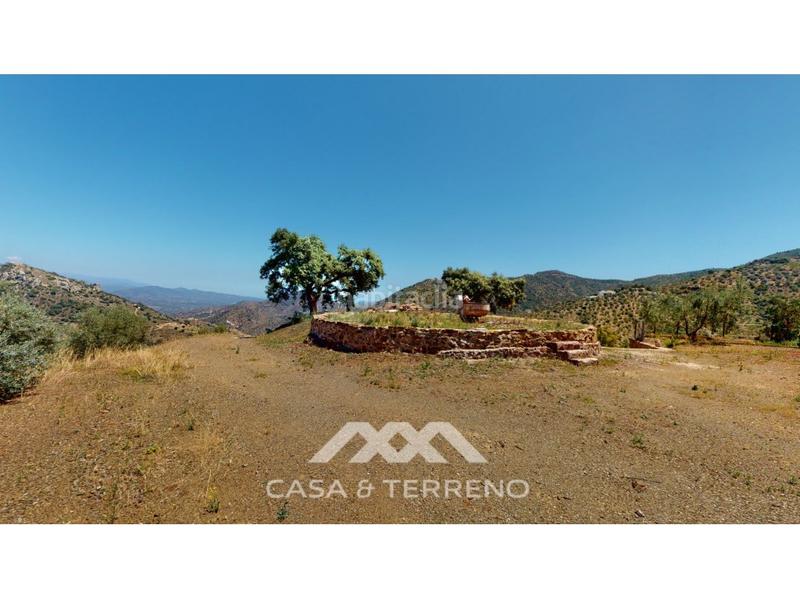 Foto f41bd60e-0392-4ad7-ba7c-bfcfedd2d40b. Locale commerciale in Comares