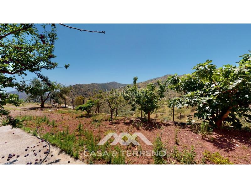 Foto fc08fe24-5779-4660-9fad-52f60779f3fa. Locale commerciale in Comares