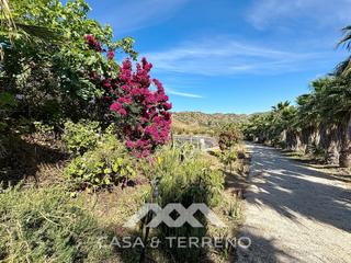 Masia  N/a. Se vende amplia finca con casa en almayate  tranquilidad, espaci