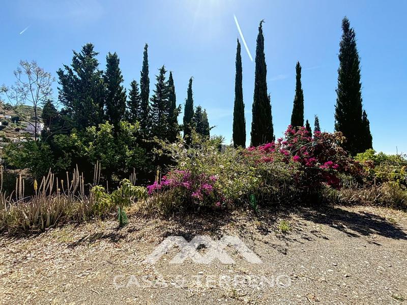 Foto dc8588c9-b186-4a70-93c1-d97f80357e73. Casale con parcheggio in Camino Viejo de Málaga Vélez - Málaga