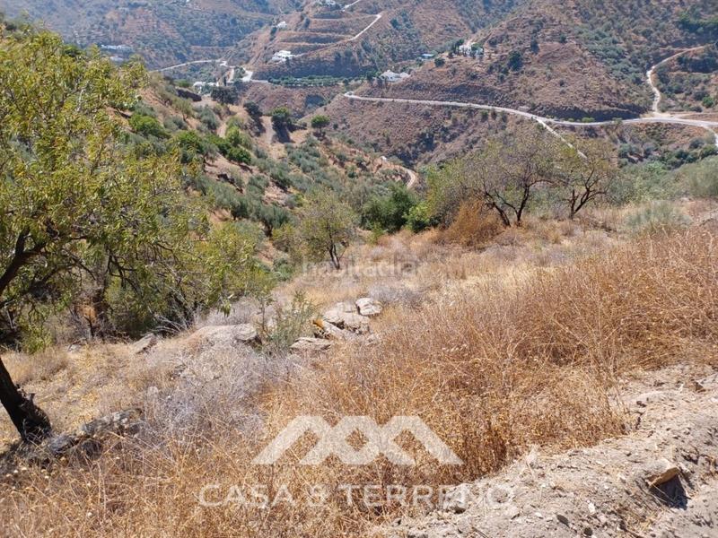 Foto 0702b34a-1376-4783-bff0-49fa2d4d35cf. Terreno residencial se vende amplia finca agrícola con olivos, vistas al mar y buena ubicación en Arenas