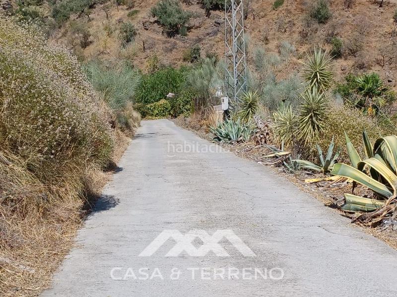 Foto 0c3d1a87-7899-4a80-9a3a-75e18803cd1f. Terreno residencial se vende amplia finca agrícola con olivos, vistas al mar y buena ubicación en Arenas