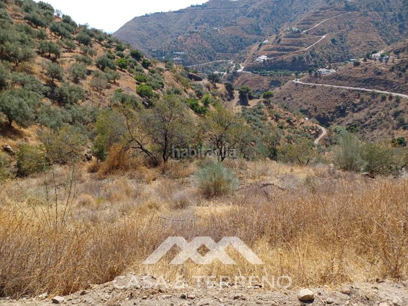 Foto 52639fb8-9024-4aaa-9fed-a10afdc43f43. Terreno residencial se vende amplia finca agrícola con olivos, vistas al mar y buena ubicación en Arenas
