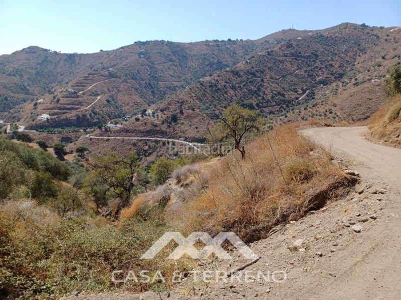 Foto 538ec602-f866-4605-9f1a-0a6c276767a0. Terreno residencial se vende amplia finca agrícola con olivos, vistas al mar y buena ubicación en Arenas