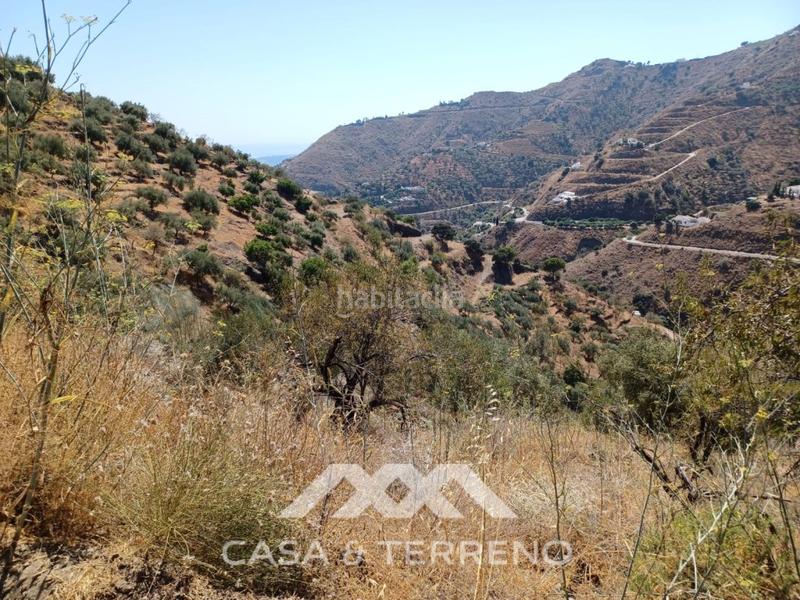 Foto c25fa6de-7d69-4d82-8f02-491d49ef6978. Terreno residencial se vende amplia finca agrícola con olivos, vistas al mar y buena ubicación en Arenas