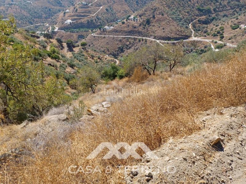 Foto ec99468b-083e-44dd-a004-c2ce9d381f2c. Terreno residencial se vende amplia finca agrícola con olivos, vistas al mar y buena ubicación en Arenas