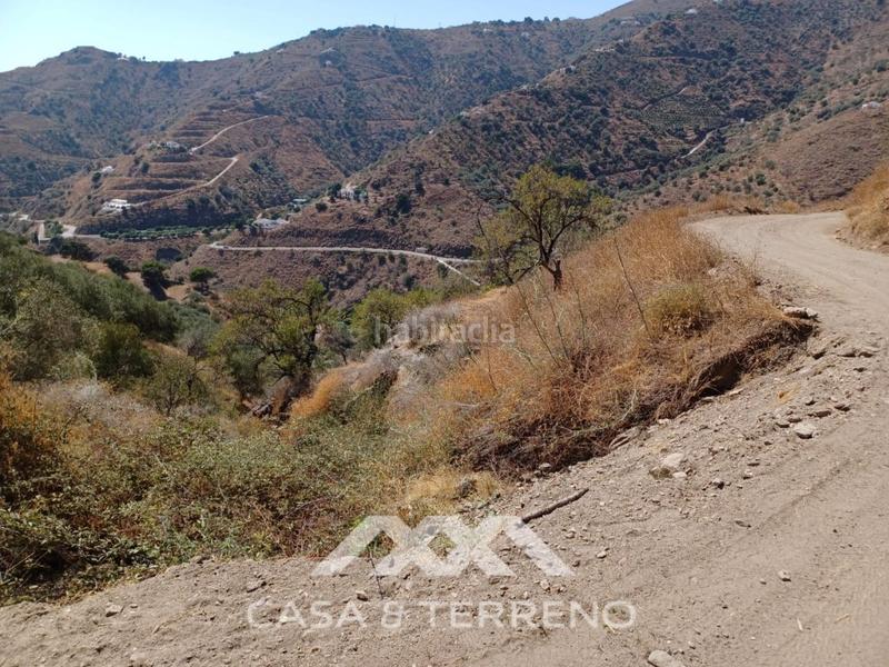 Foto f07bd3bb-e9ee-44a7-aca1-e03930694e55. Terreno residencial se vende amplia finca agrícola con olivos, vistas al mar y buena ubicación en Arenas