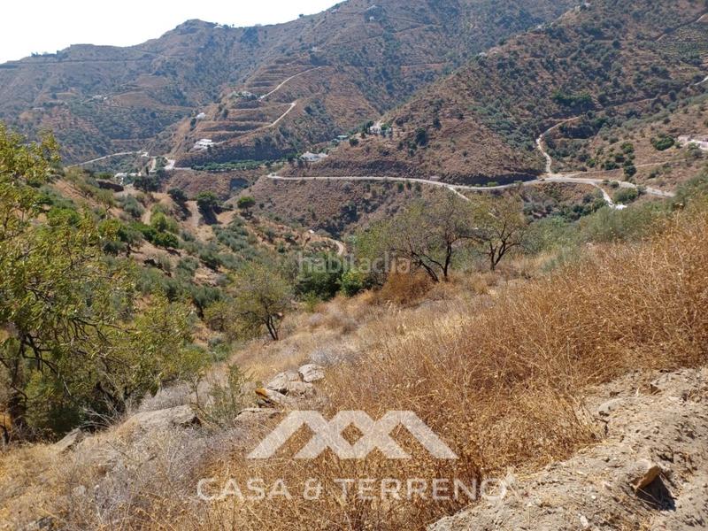 Foto f734add6-9bfb-4b08-8db2-7aff2ceaadd1. Terreno residencial se vende amplia finca agrícola con olivos, vistas al mar y buena ubicación en Arenas