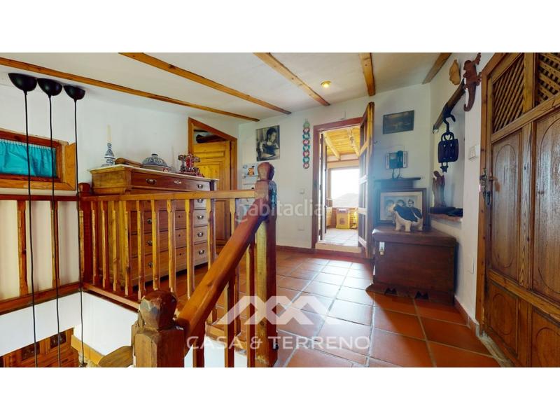 Foto 0d7fc92f-b3ac-479f-b930-64499ff8473b. Geschäftsraum in Sayalonga