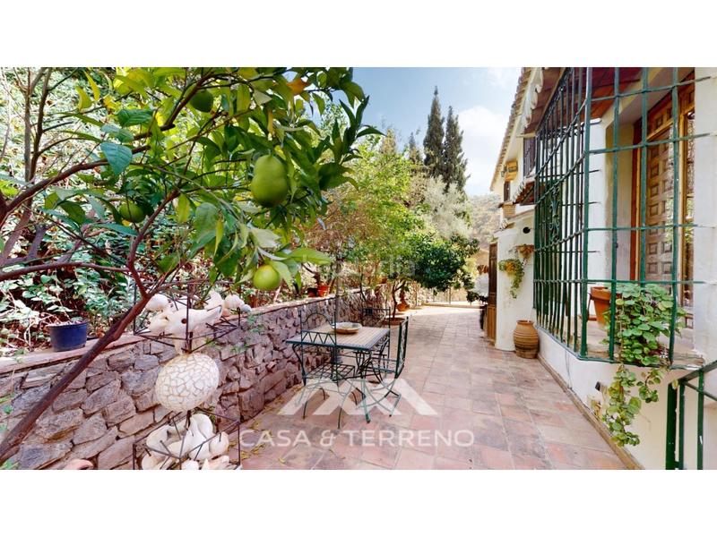 Foto a11c6be8-5ca3-4ea5-9c1a-6896dadafa20. Geschäftsraum in Sayalonga