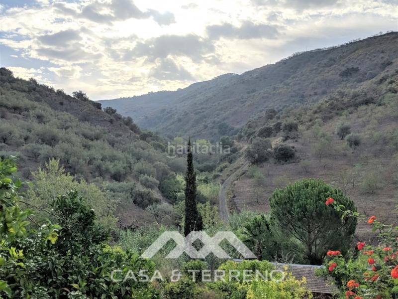 Foto cd619b96-2796-467e-a0b2-5a95db05ff37. Local commercial dans Sedella