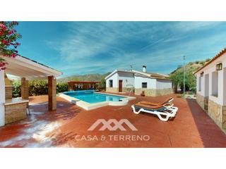 Masa en Borge (El). Venta, finca, el borge, malaga, andalucia