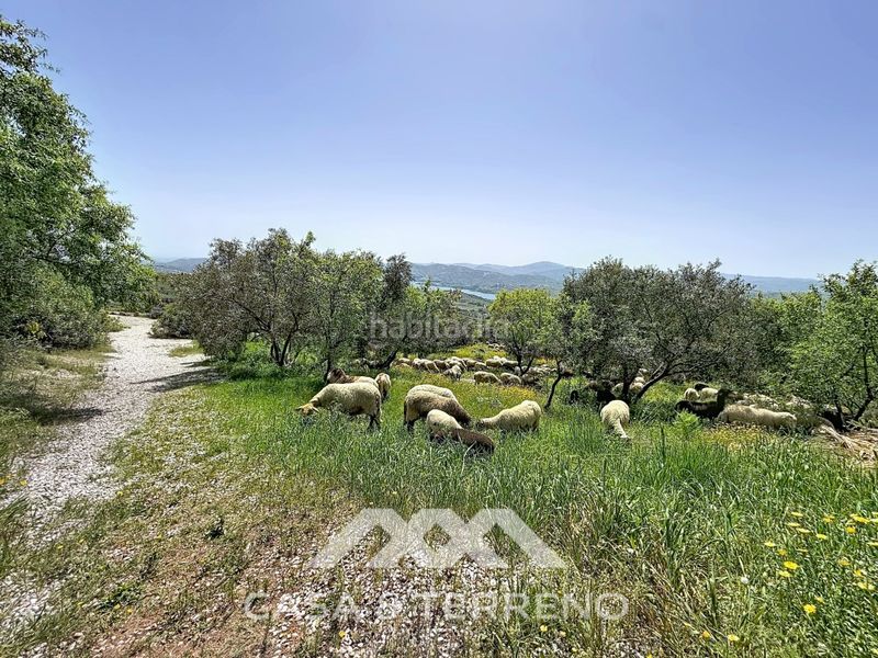 Foto e53f5642-b733-471e-9f81-713cada97e48. Casa amb calefacció aparcament piscina a Alcaucín