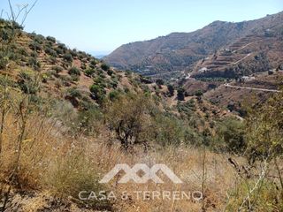Landgut  Calle bentomiz. Se vende amplia finca agrícola con olivos, vistas al mar y buena