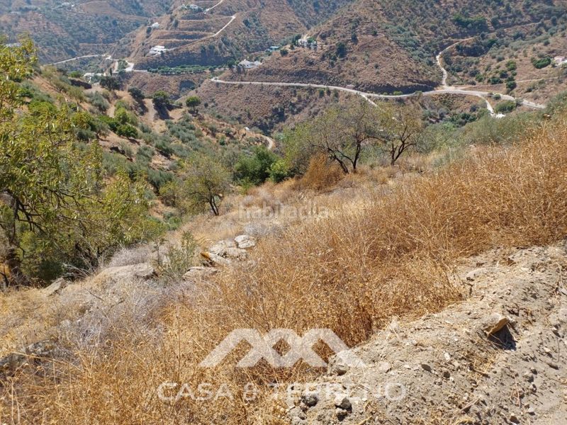 Foto a65f86dd-2f53-4e6c-b133-fa4e10e76851. Finca rústica a Arenas