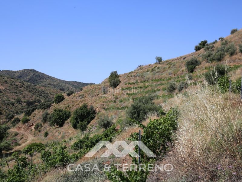 Foto 245a4500-8129-4497-a518-d0b4abea02bc. Casa amb aparcament a Totalán