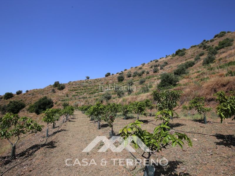 Foto b56d8a2a-274b-425c-8e29-ba739db0e6d3. Casa amb aparcament a Totalán