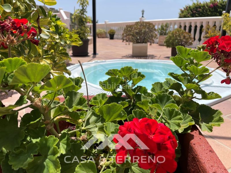 Foto 5700c5ce-25c5-4e30-bd7f-17564d8c01a1. Casa amb piscina a Arenas