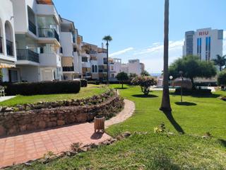 Apartament  Calle salvador allende. Apartamento en planta baja a pie de piscina en segunda línea de