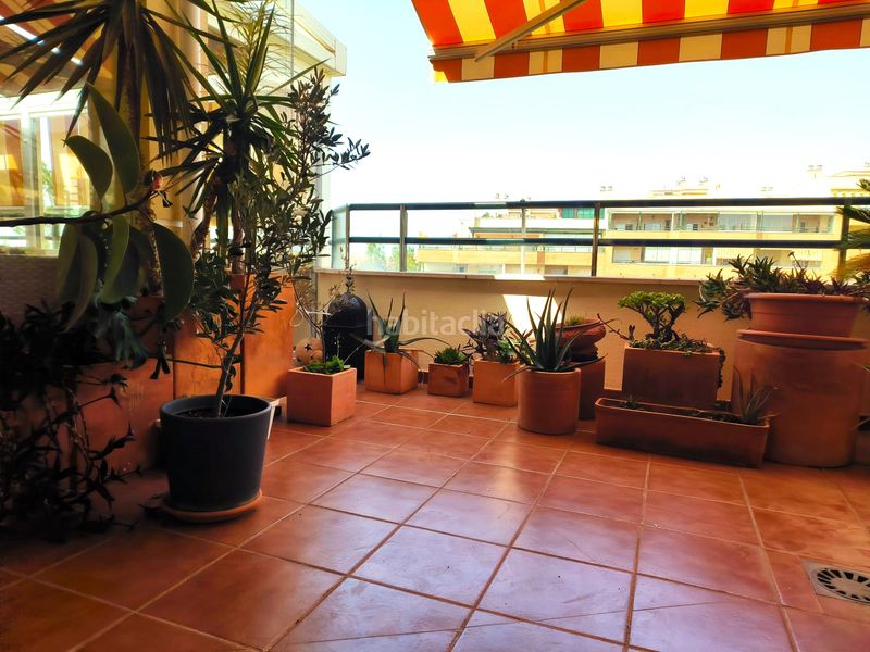 Foto 609a18b5-a96b-41e6-b6a7-764a379488f0. Àtic a calle lora del río 18 a El Pinillo Torremolinos