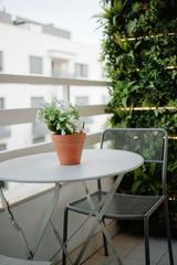 Pis  Calle del médico pascual pérez. Piso de 3 habitaciones en el corazón de la ciudad alicante centr