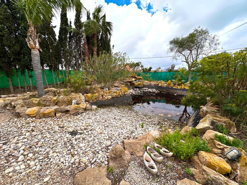 Foto 09bb96bd-04d0-4444-aafc-b7fa3c29086d. Xalet amb aparcament piscina a Catral