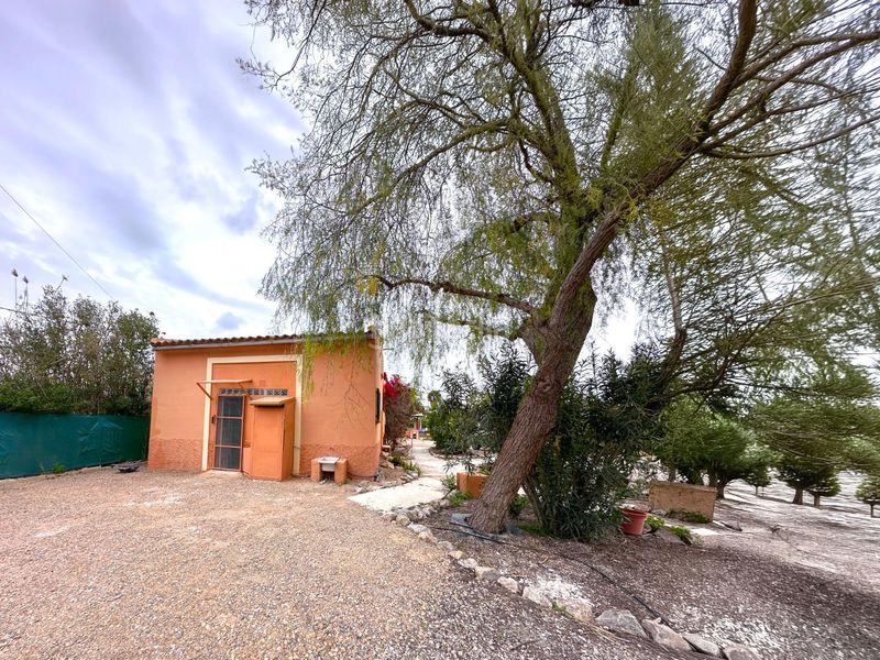 Foto e371a0e4-1350-46c1-8de7-e67d8cb31d03. Xalet amb aparcament piscina a Catral