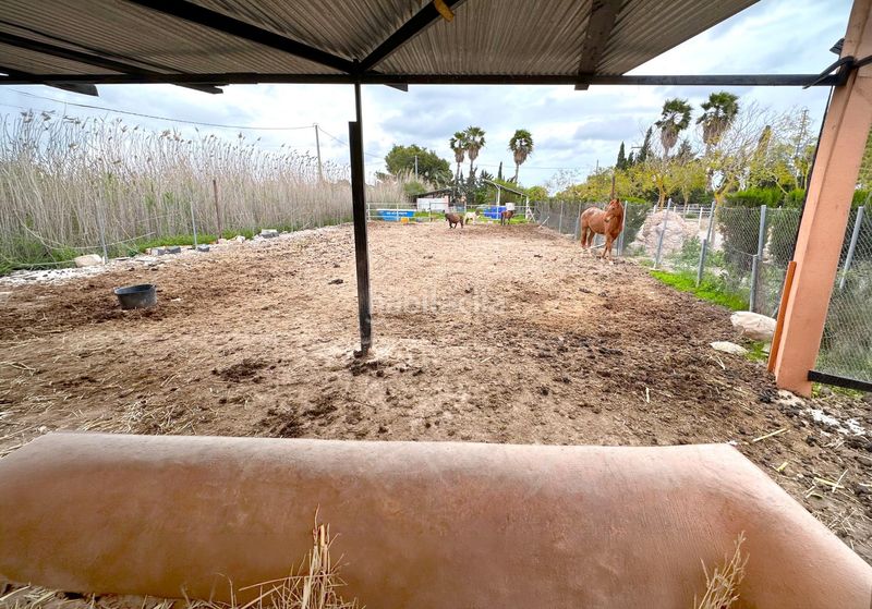 Foto fb81df8d-1d53-4802-b2f5-ab53bf8e98c1. Xalet amb aparcament piscina a Catral