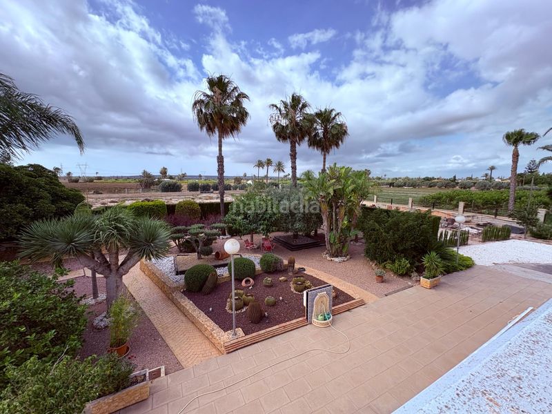 Foto c75805da-9258-4f75-9939-7a78a380063c. Casa amb aparcament piscina a Centro Elche / Elx